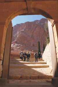 Porte désert copie